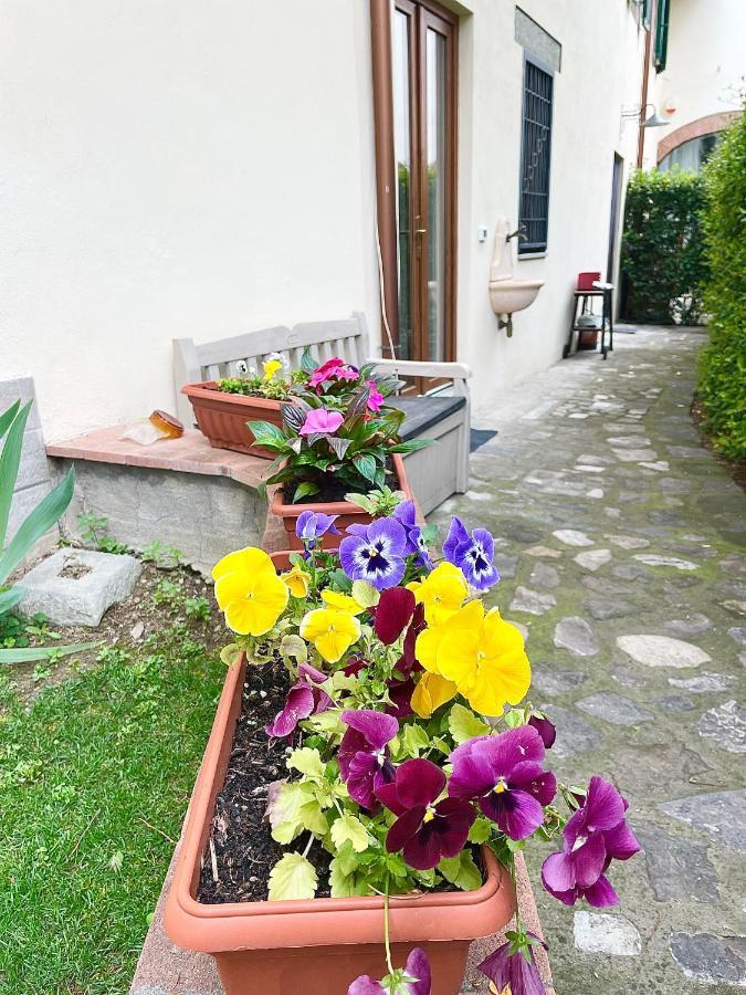 Dalu Florence Apartment Davide - Private Car Park 15 Minutes To The City Center Bagian luar foto