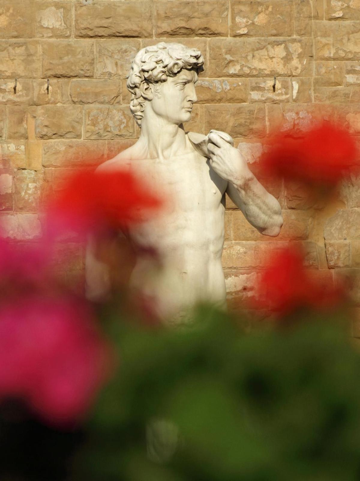 Dalu Florence Apartment Davide - Private Car Park 15 Minutes To The City Center Bagian luar foto