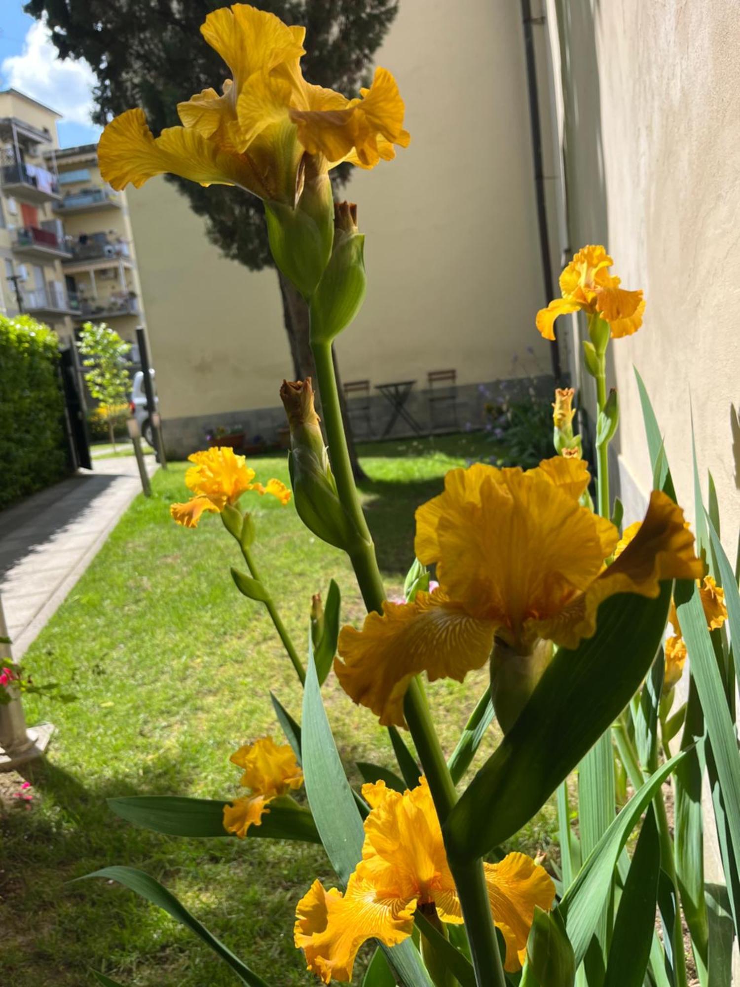 Dalu Florence Apartment Davide - Private Car Park 15 Minutes To The City Center Bagian luar foto